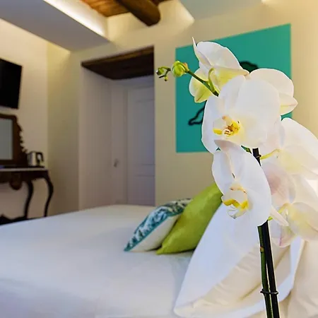 Guest house Duetto Al Duomo Naples